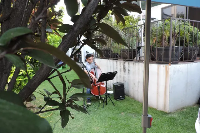 Música — Only Cello, Atizapán de Zaragoza