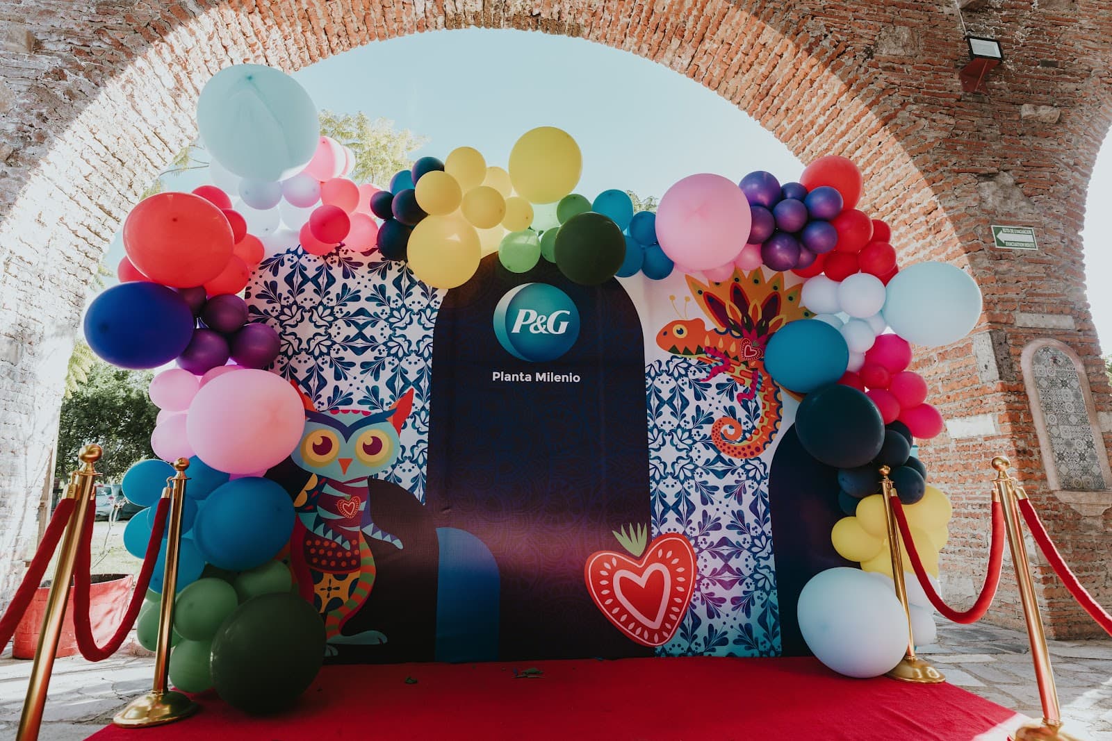 Foto de Ignis Media - Fotografía y video
