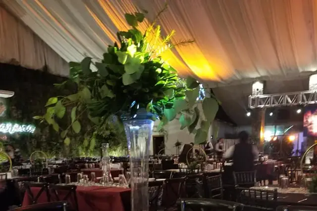 Muestra del servicio 2