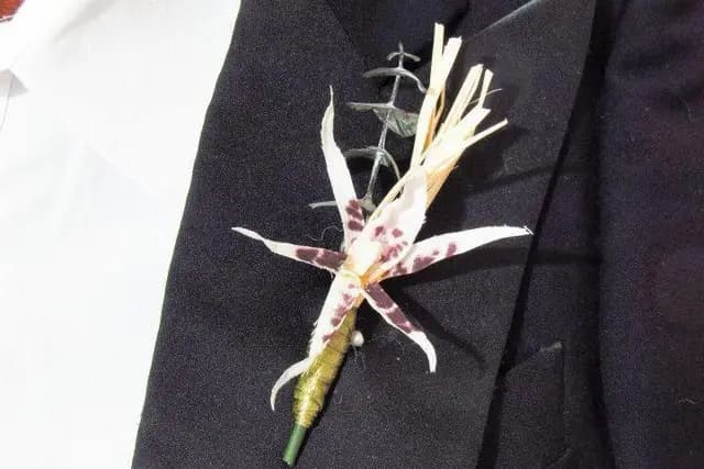 Muestra del servicio 2
