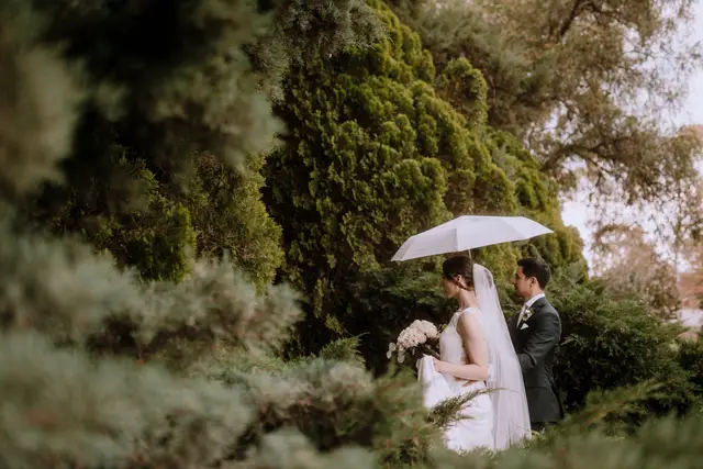 Fotografía y Video — Alberto Tenopala Foto, Querétaro