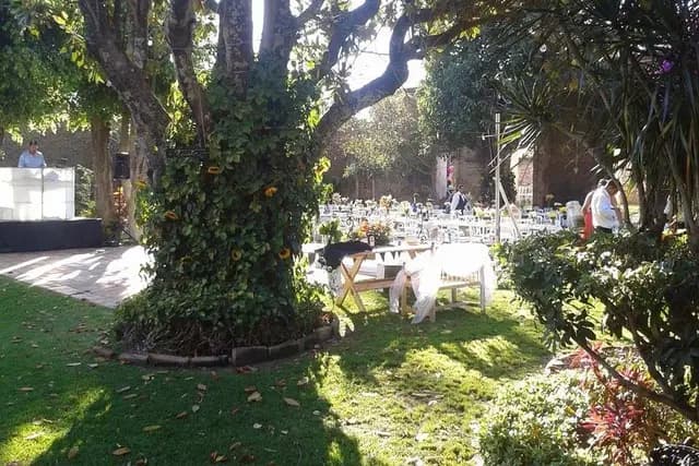 Muestra del servicio 1