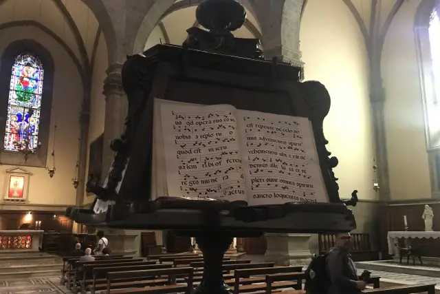 Muestra del servicio 2