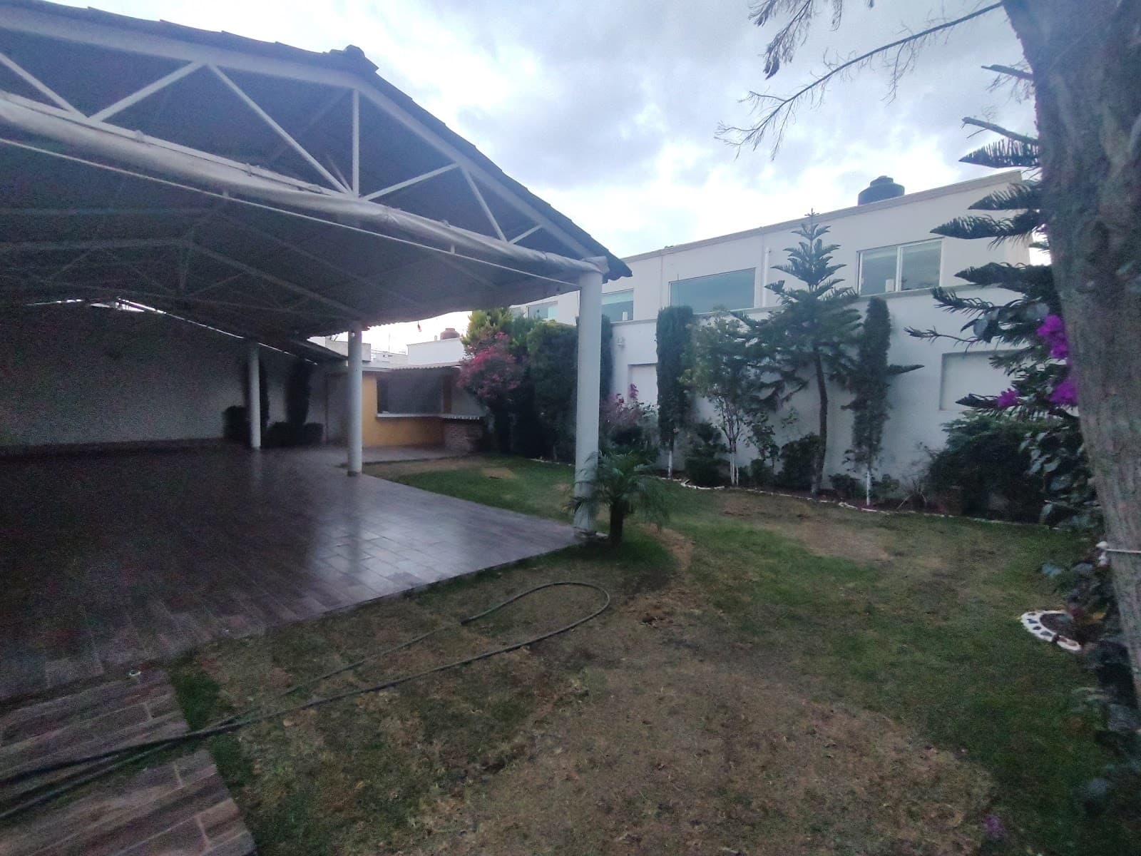 Muestra del servicio 1