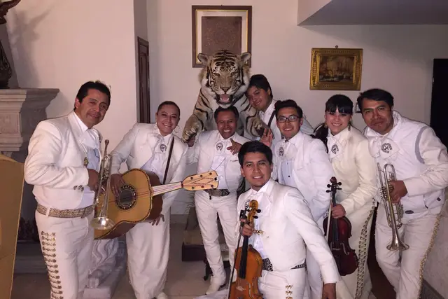 Muestra del servicio 2