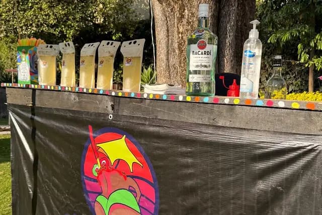 Muestra del servicio 1