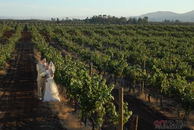 Fotografía y Video para bodas en Tijuana — Artrejo Fotografia, Tijuana