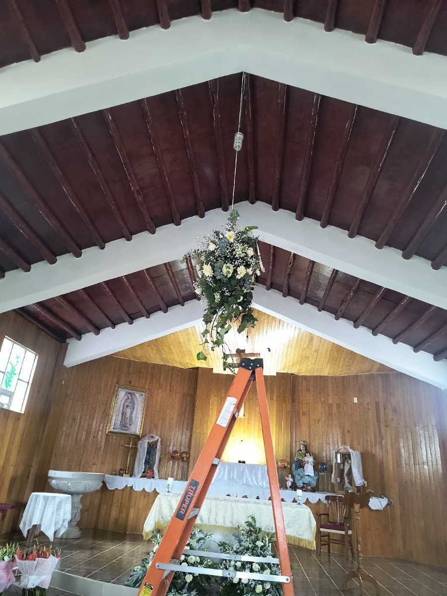 Foto de Florería Peralos Dorados