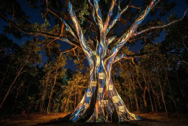 Entretenimiento — Triangulum Mapping,