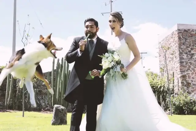 Fotografía y Video — Abraham Miranda Videografia, San Luis Potosí