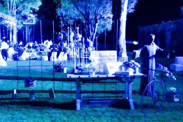 Wedding Planners — Dinorah Cervantes Consulting & Event Planner, León