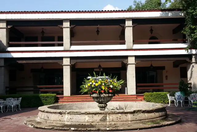 Decoración y Flores — Viveflor,