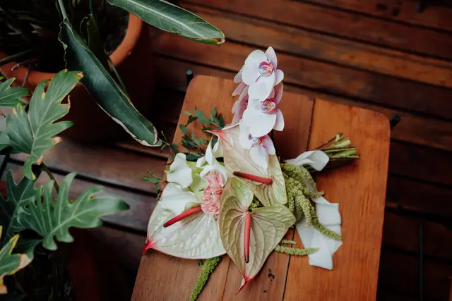 Fotografía y Video — Luma Estudio, Oaxaca