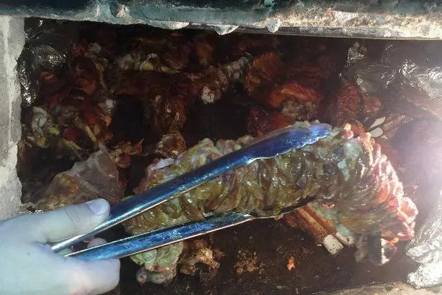 Muestra del servicio 1