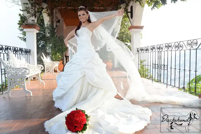 Fotografía y Video para bodas en Ciudad de México — Dachshund, Ciudad de México