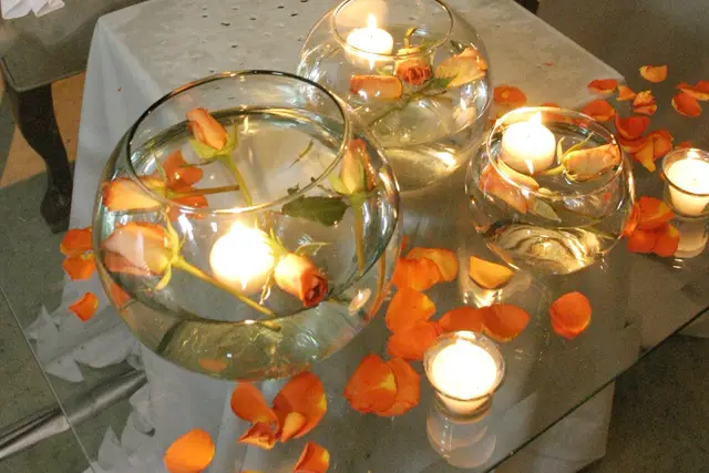 Wedding Planners — May Rivas, San Nicolás de los Garza