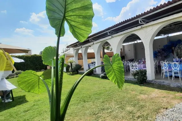 Muestra del servicio 1