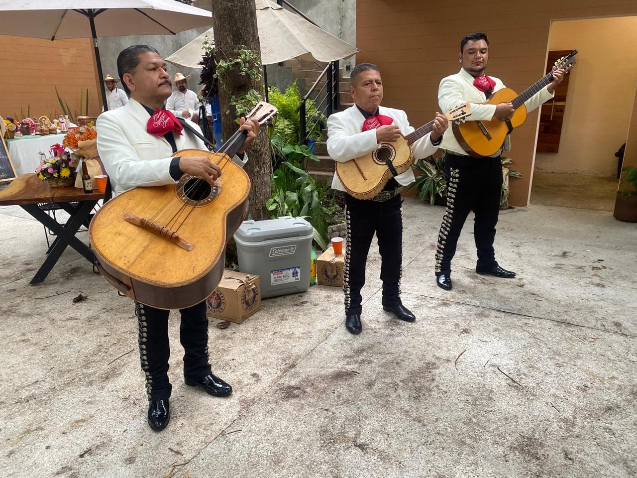 Muestra del servicio 1