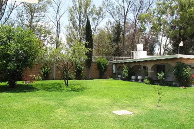 Muestra del servicio 2