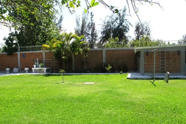 Muestra del servicio 3