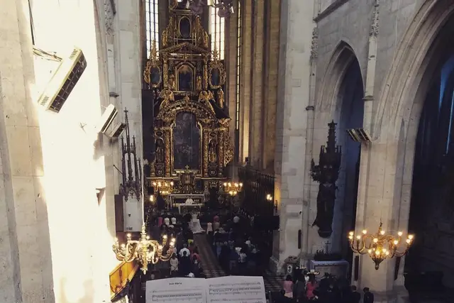 Muestra del servicio 2