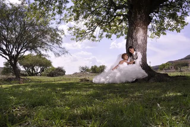 Fotografía y Video — Contraluz Video Foto, Querétaro