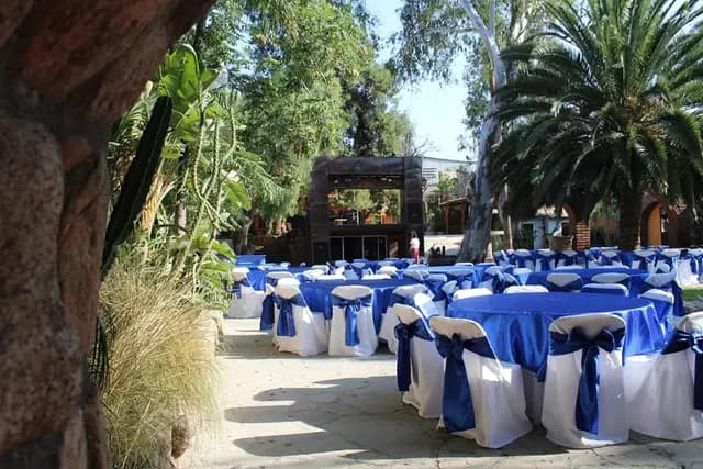Muestra del servicio 2