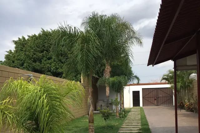 Muestra del servicio 1
