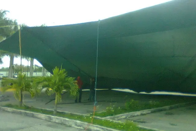 Muestra del servicio 2