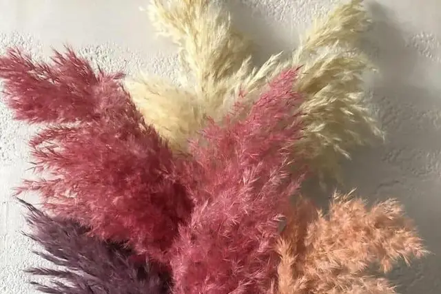 Accesorios — Guadalupe Villavicencio Flores Preservadas, Toluca