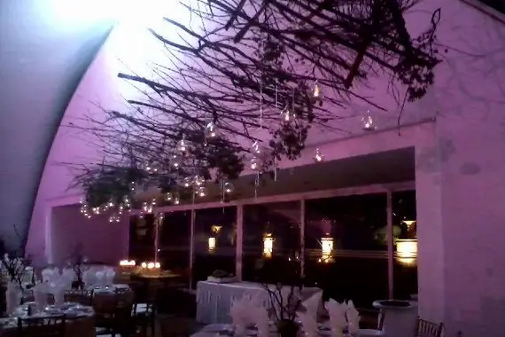Decoración y Flores para bodas en Aguascalientes — Floreria Arte Holandes, Aguascalientes