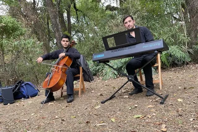 Música — Ensamble De Cuerdas Intermezzo, Toluca