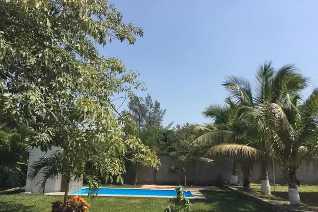 Muestra del servicio 2