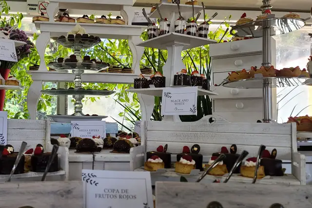 Muestra del servicio 2