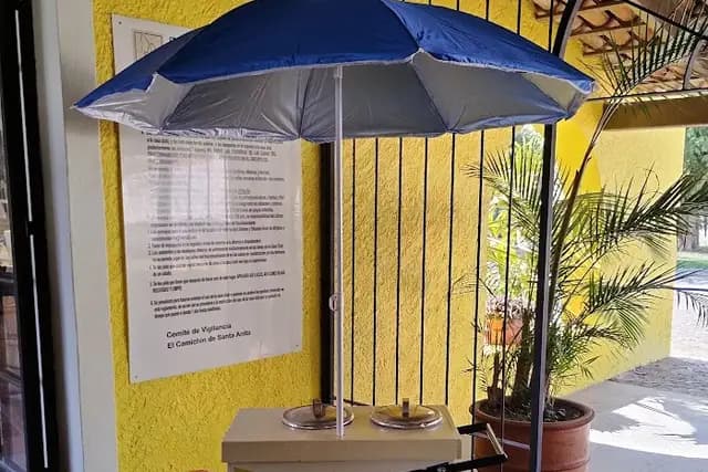 Muestra del servicio 1