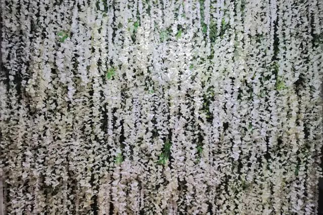 Decoración y Flores — Pared Floral MTY, Monterrey