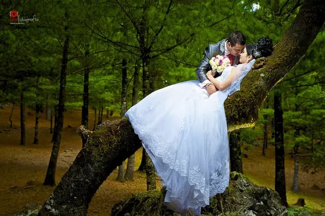 Fotografía y Video — Inn Fotografía, Comitán