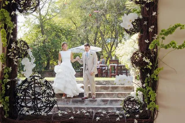 Fotografía y Video — Social One,