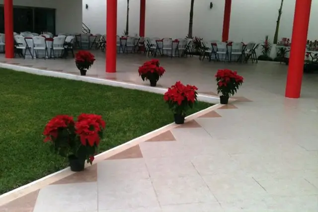 Muestra del servicio 2