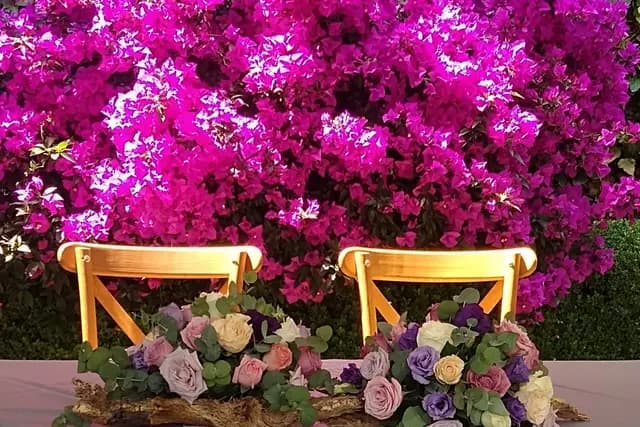 Decoración y Flores — Akitsu, Ciudad de México
