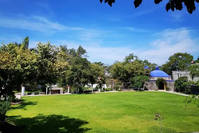 Muestra del servicio 3