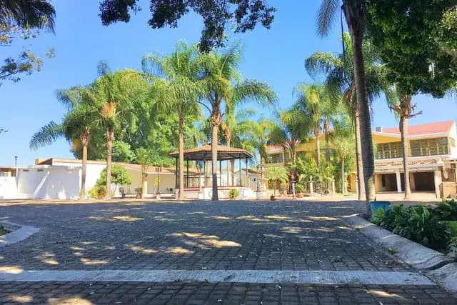 Muestra del servicio 2