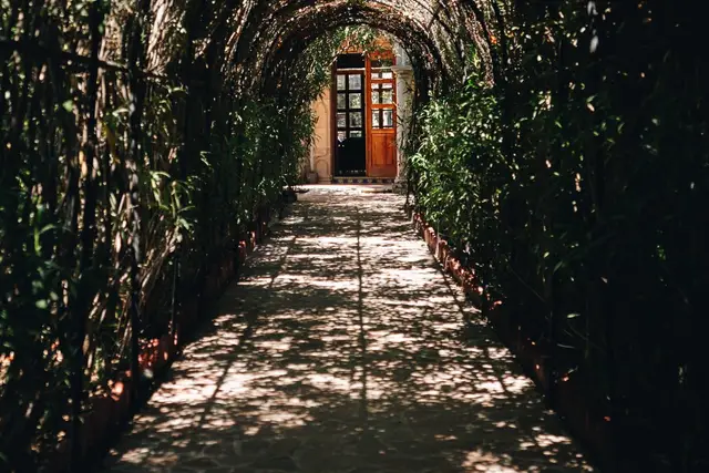 Venues — Casa Biznaga, León