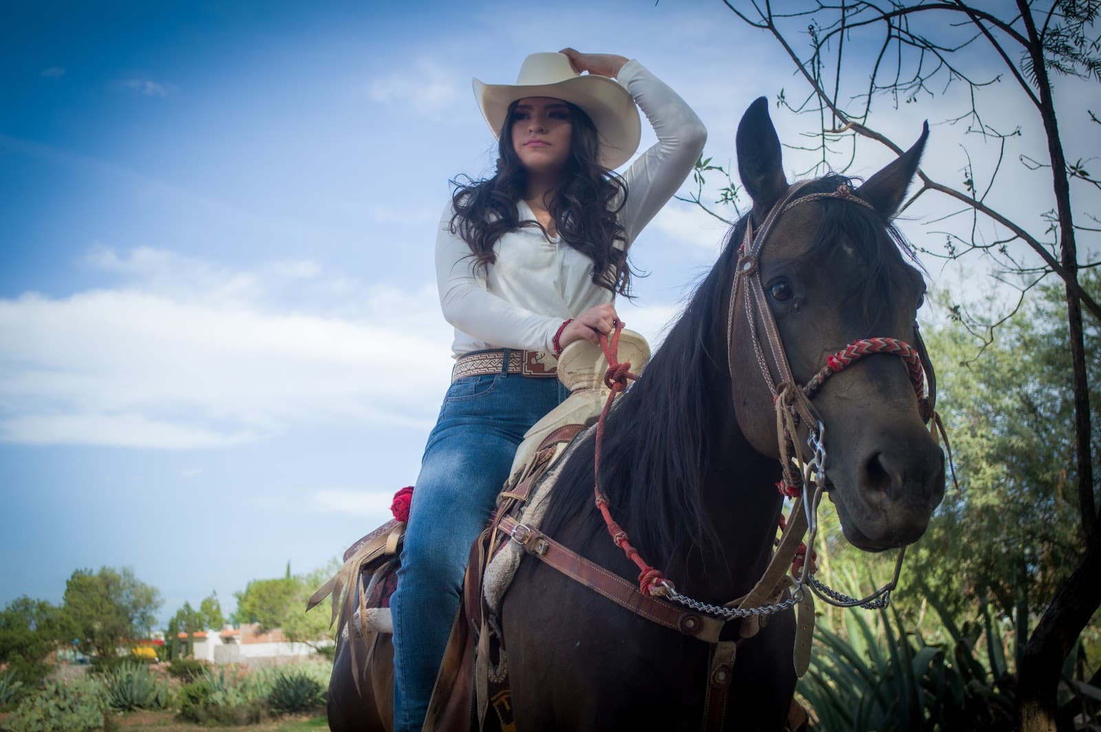 Foto de Servicios fotograficos