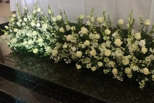 Muestra del servicio 1