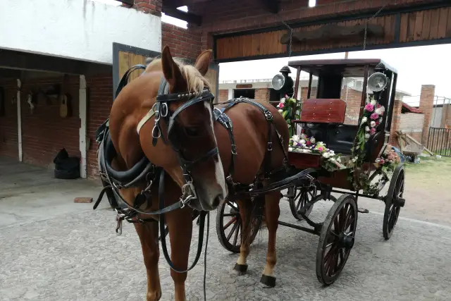 Muestra del servicio 1
