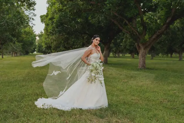Fotografía y Video — Pentaprisma, Piedras Negras