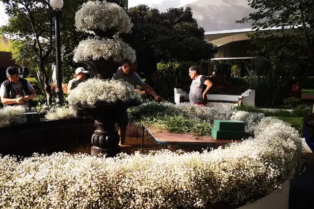 Decoración y Flores — Detalle En Flores, Cuautitlán Izcalli