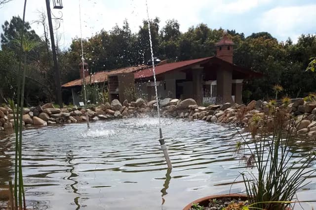 Muestra del servicio 1