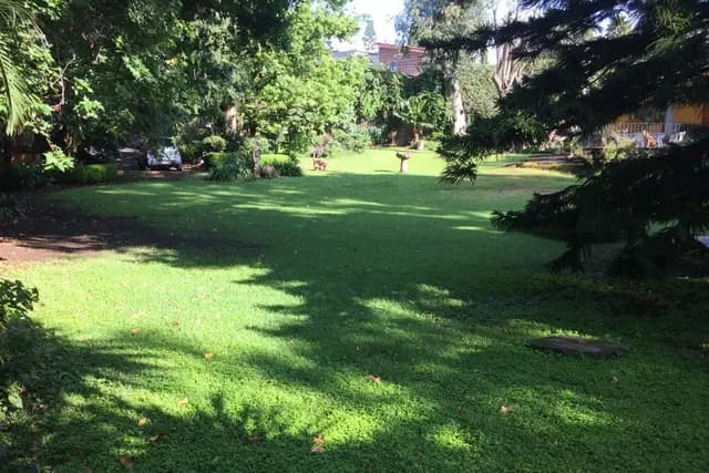 Muestra del servicio 2